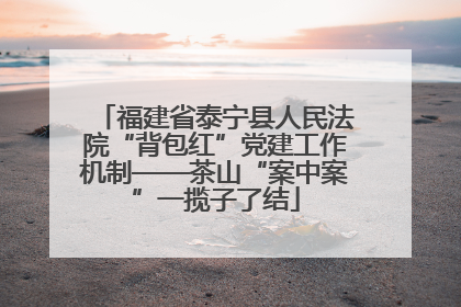福建省泰宁县人民法院“背包红”党建工作机制——茶山“案中案”一揽子了结