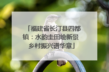 福建省长汀县四都镇：水韵圭田绘新景 乡村振兴谱华章