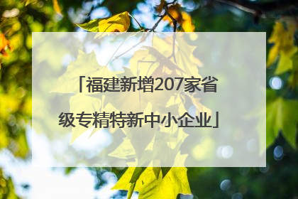 福建新增207家省级专精特新中小企业
