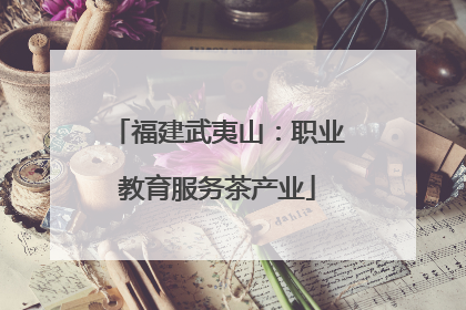 福建武夷山：职业教育服务茶产业