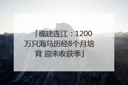 福建连江：1200万只海马历经8个月培育 迎来收获季