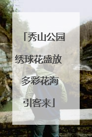 秀山公园绣球花盛放 多彩花海引客来