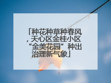 种花种草种春风，天心区金桂小区“金美花园”种出治理新气象