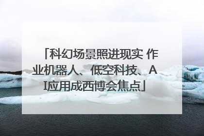 科幻场景照进现实 作业机器人、低空科技、AI应用成西博会焦点
