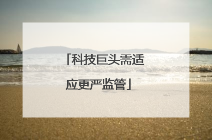 科技巨头需适应更严监管