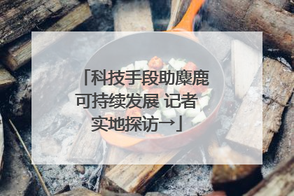 科技手段助麋鹿可持续发展 记者实地探访→
