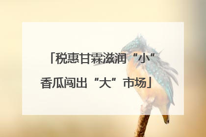 税惠甘霖滋润“小”香瓜闯出“大”市场