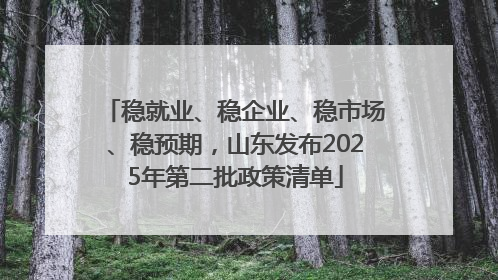 稳就业、稳企业、稳市场、稳预期，山东发布2025年第二批政策清单