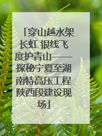 穿山越水架长虹 银线飞度护青山——探秘宁夏至湖南特高压工程陕西段建设现场