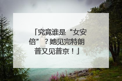究竟谁是“女安倍”？她见完特朗普又见普京！