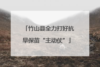竹山县全力打好抗旱保苗“主动仗”