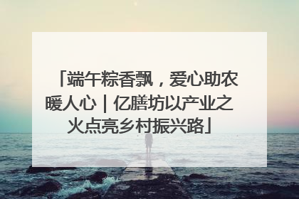 端午粽香飘，爱心助农暖人心｜亿膳坊以产业之火点亮乡村振兴路