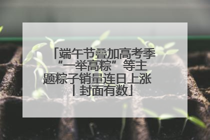 端午节叠加高考季 “一举高粽”等主题粽子销量连日上涨丨封面有数