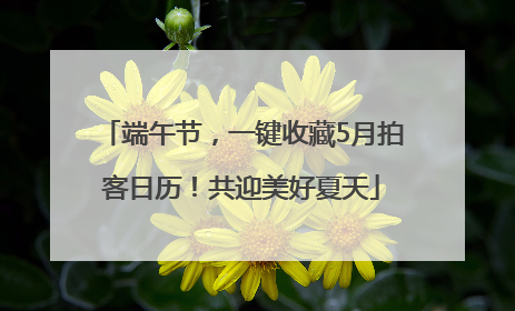 端午节，一键收藏5月拍客日历！共迎美好夏天
