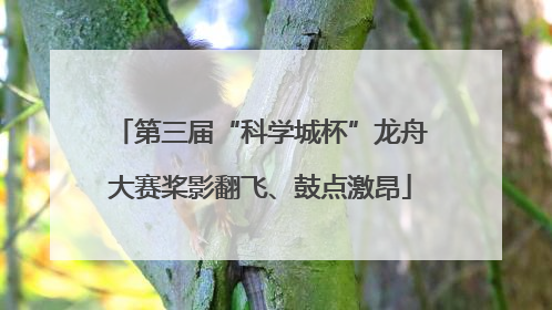 第三届“科学城杯”龙舟大赛桨影翻飞、鼓点激昂