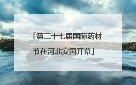 第二十七届国际药材节在河北安国开幕