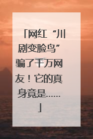网红“川剧变脸鸟”骗了千万网友！它的真身竟是……