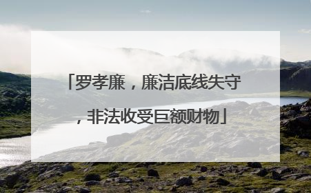 罗孝廉，廉洁底线失守，非法收受巨额财物