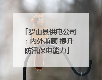 罗山县供电公司：内外兼顾 提升防汛保电能力