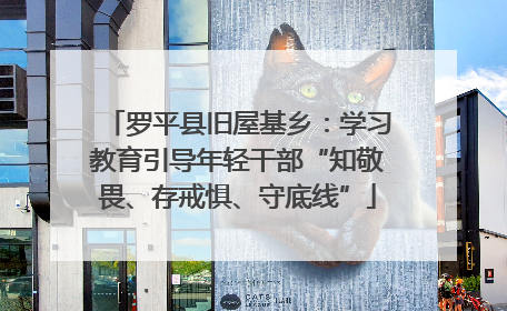 罗平县旧屋基乡：学习教育引导年轻干部“知敬畏、存戒惧、守底线”