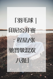 羽毛球｜印尼公开赛：程星/张驰晋级混双八强