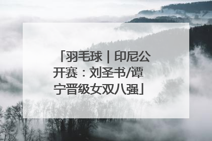 羽毛球｜印尼公开赛：刘圣书/谭宁晋级女双八强
