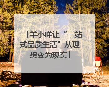 羊小咩让“一站式品质生活”从理想变为现实