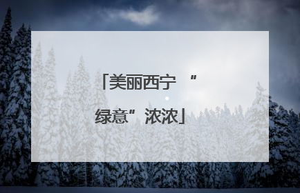 美丽西宁 “绿意”浓浓