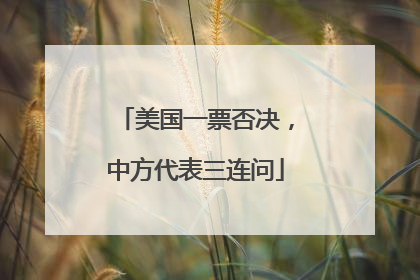 美国一票否决，中方代表三连问