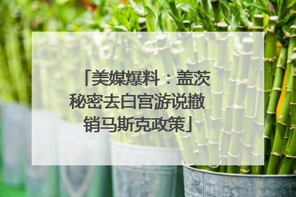 美媒爆料：盖茨秘密去白宫游说撤销马斯克政策