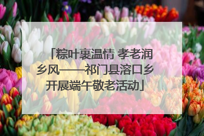 粽叶裹温情 孝老润乡风——祁门县溶口乡开展端午敬老活动