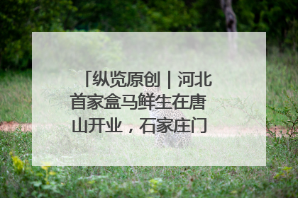 纵览原创｜河北首家盒马鲜生在唐山开业，石家庄门店预计8月开业