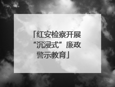红安检察开展“沉浸式”廉政警示教育