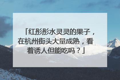 红彤彤水灵灵的果子，在杭州街头大量成熟，看着诱人但能吃吗？