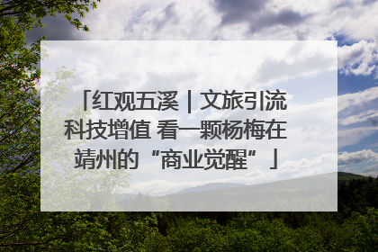 红观五溪｜文旅引流 科技增值 看一颗杨梅在靖州的“商业觉醒”