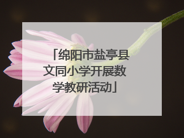 绵阳市盐亭县文同小学开展数学教研活动