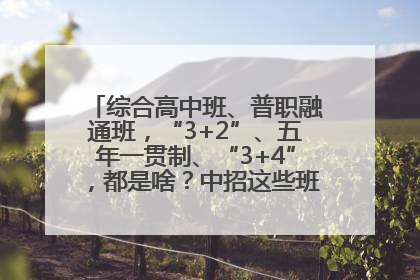 综合高中班、普职融通班，“3+2”、五年一贯制、“3+4”，都是啥？中招这些班，一文看懂