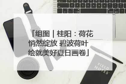 组图｜桂阳：荷花悄然绽放 碧波荷叶绘就美好夏日画卷