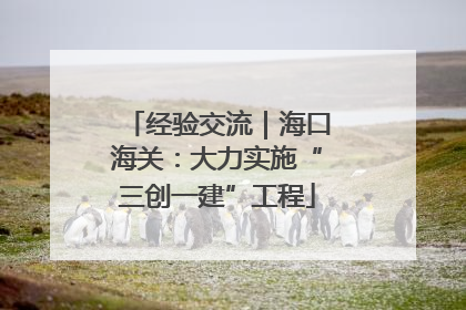 经验交流｜海口海关：大力实施“三创一建”工程