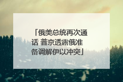 俄美总统再次通话 普京透露俄准备调解伊以冲突