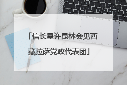 信长星许昆林会见西藏拉萨党政代表团
