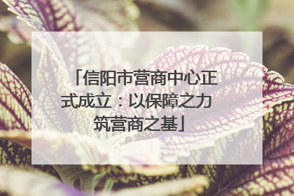信阳市营商中心正式成立：以保障之力 筑营商之基