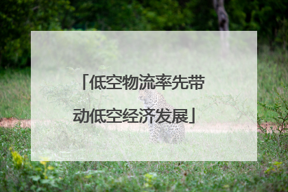 低空物流率先带动低空经济发展