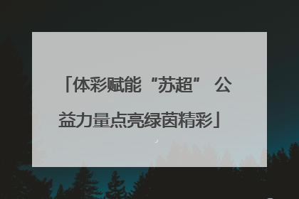 体彩赋能“苏超” 公益力量点亮绿茵精彩