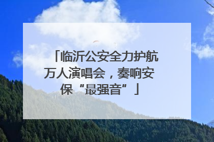 临沂公安全力护航万人演唱会，奏响安保“最强音”