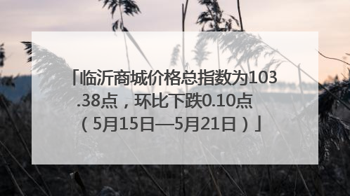 临沂商城价格总指数为103.38点，环比下跌0.10点（5月15日—5月21日）