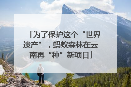 为了保护这个“世界遗产”，蚂蚁森林在云南再“种”新项目