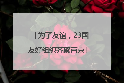 为了友谊，23国友好组织齐聚南京