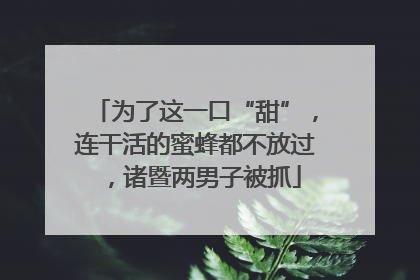 为了这一口“甜”，连干活的蜜蜂都不放过，诸暨两男子被抓