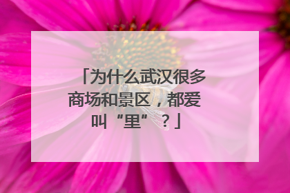 为什么武汉很多商场和景区，都爱叫“里”？